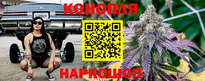 крисы Гусиноозёрск